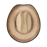 AUSTIN 10X COWBOY GREEN PALM HAT