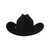 COWBOY WOOL HAT PALA 6X