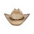 AUSTIN 10X COWBOY GREEN PALM HAT