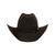 COWBOY FUR FELT HAT ESTE OESTE - PC 10X