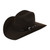COWBOY FUR FELT HAT ESTE OESTE - PC 10X