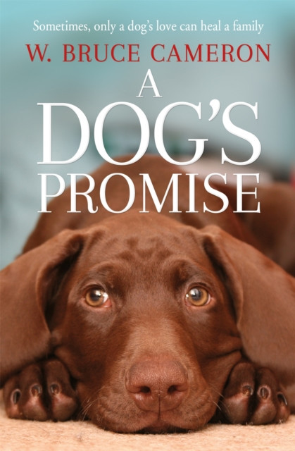 A Dog's Promise The Guardian Bookshop - Main Image