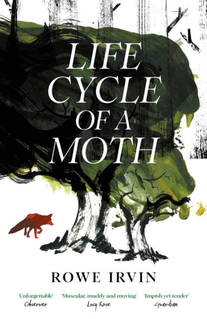 Life Cycle of a Moth - The Guardian Bookshop