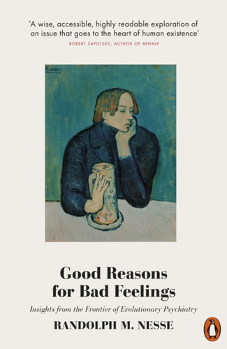 Good Reasons for Bad Feelings 9780141984919 Paperback Good Reasons for Bad Feelings 9780141984919 Paperback