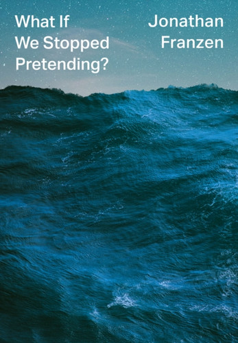 What If We Stopped Pretending? 9780008434045 Hardback What If We Stopped Pretending? 9780008434045 Hardback