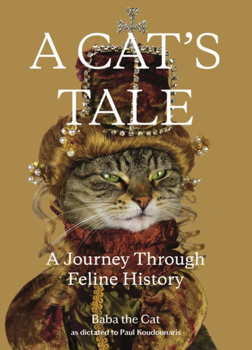 A Cat's Tale 9781250217721 Hardback