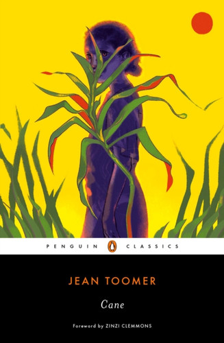 Cane 9780143133674 Paperback