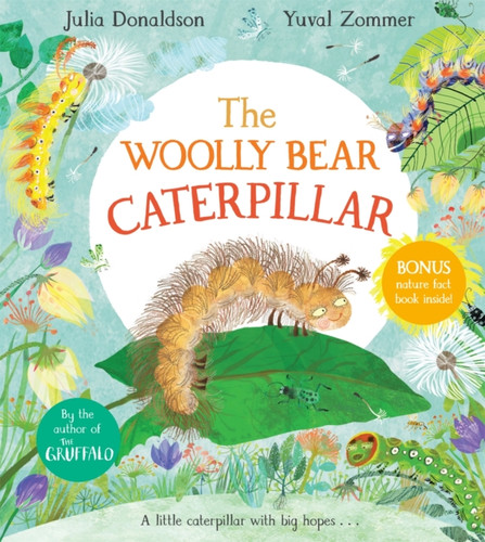 The Woolly Bear Caterpillar 9781529012187 Hardback