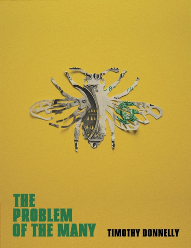 The Problem of the Many 9781529041262 Paperback The Problem of the Many 9781529041262 Paperback