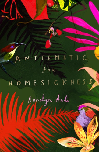 Antiemetic for Homesickness 9781784743000 Paperback
