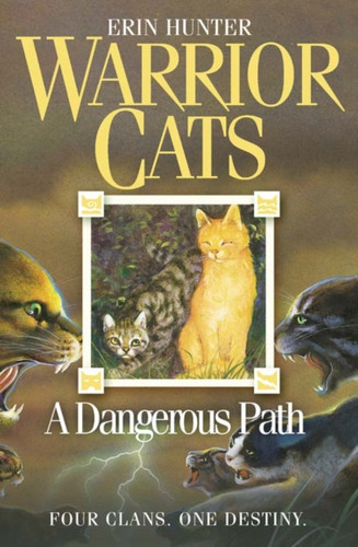 A Dangerous Path 9780007140060 Paperback