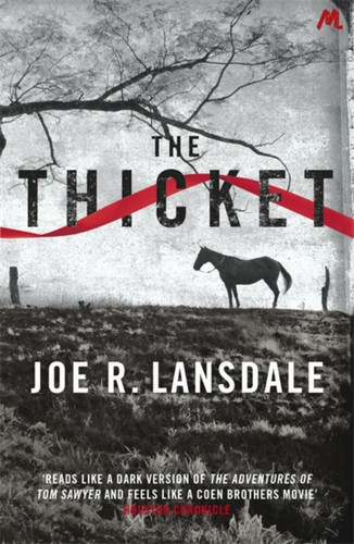 The Thicket 9781444736922 Paperback