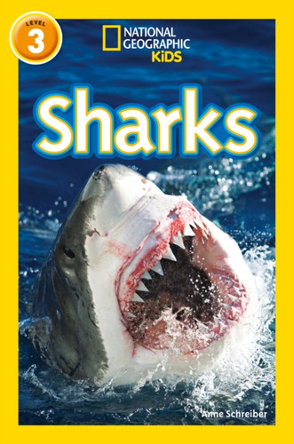 Sharks 9780008266776 Paperback Sharks 9780008266776 Paperback