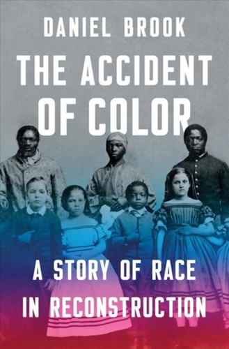 The Accident of Color 9780393247442 Hardback