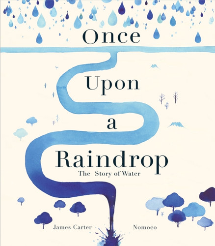 Once Upon a Raindrop 9781848579873 Paperback
