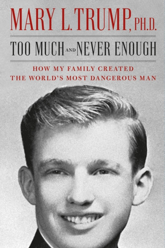 Too Much and Never Enough 9781471190131 Hardback