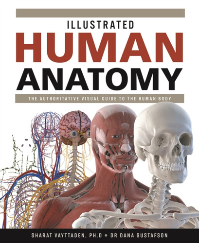 Illustrated Human Anatomy 9780228103035 Hardback Illustrated Human Anatomy 9780228103035 Hardback