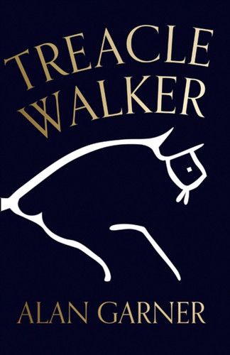 Treacle Walker 9780008477790 Hardback