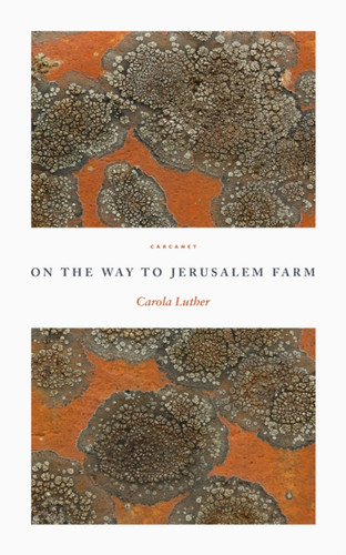 On the Way to Jerusalem Farm 9781800171633 Paperback