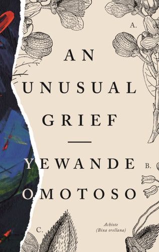 An Unusual Grief 9781913175139 Paperback An Unusual Grief 9781913175139 Paperback