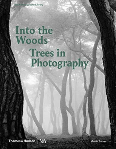 Into the Woods: Trees in Photography 9780500480533 Hardback Into the Woods: Trees in Photography 9780500480533 Hardback