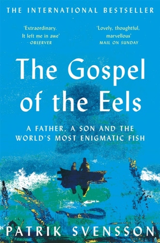 The Gospel of the Eels 9781529030709 Paperback
