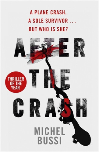 After the Crash 9781780227320 Paperback