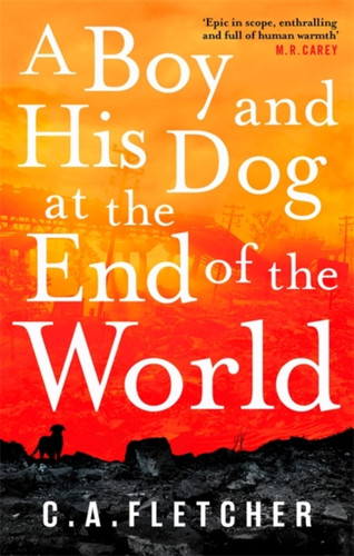 A Boy and his Dog at the End of the World 9780356510934 Paperback