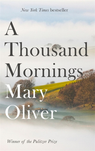 A Thousand Mornings 9781472153760 Paperback