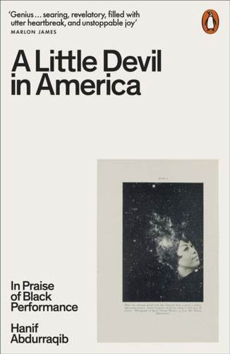 A Little Devil in America 9780141995793 Paperback