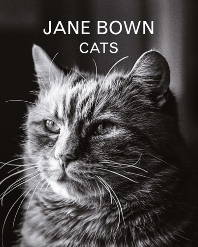 Jane Bown: Cats 9781783350872