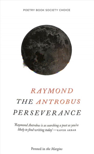 The Perseverance 9781908058522 Paperback The Perseverance 9781908058522 Paperback