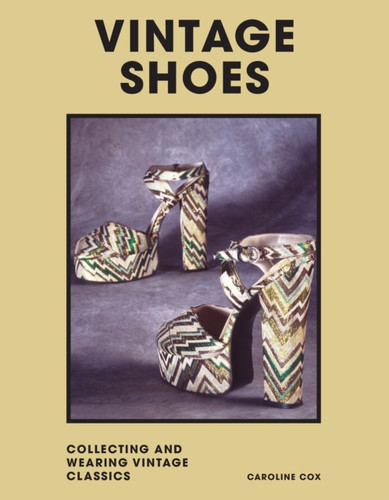 Vintage Shoes 9781802790948 Hardback