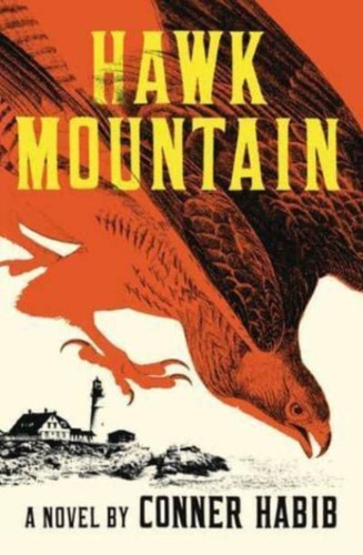 Hawk Mountain - A Novel 9780393542172