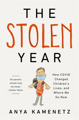 The Stolen Year 9781541700987 Hardback