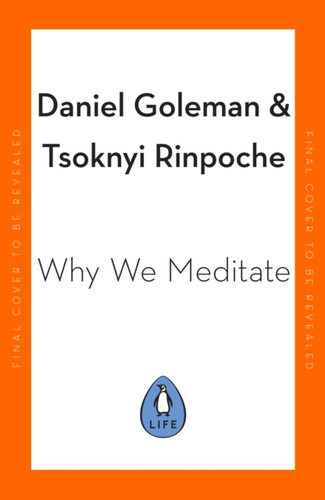 Why We Meditate 9780241527870 Hardback Why We Meditate 9780241527870 Hardback