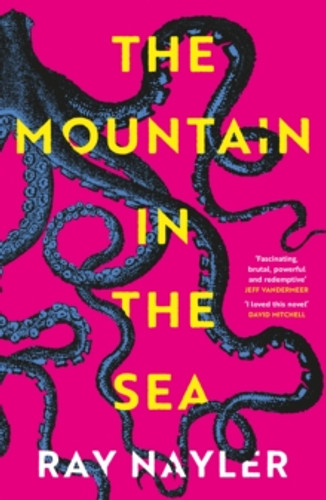 The Mountain in the Sea 9781399600477 Paperback