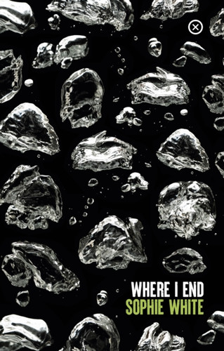 Where I End 9781915290045 Paperback Where I End 9781915290045 Paperback
