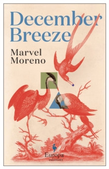 December Breeze 9781787704091 Paperback