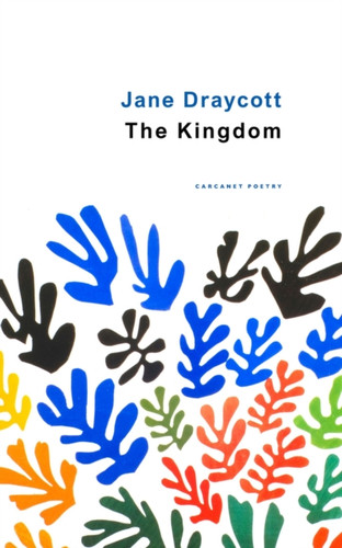 The Kingdom 9781800172593 Paperback The Kingdom 9781800172593 Paperback