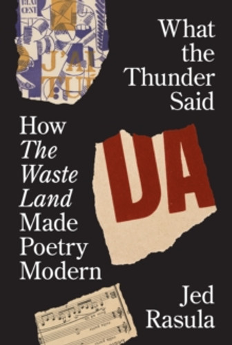 What the Thunder Said 9780691225777 Hardback What the Thunder Said 9780691225777 Hardback