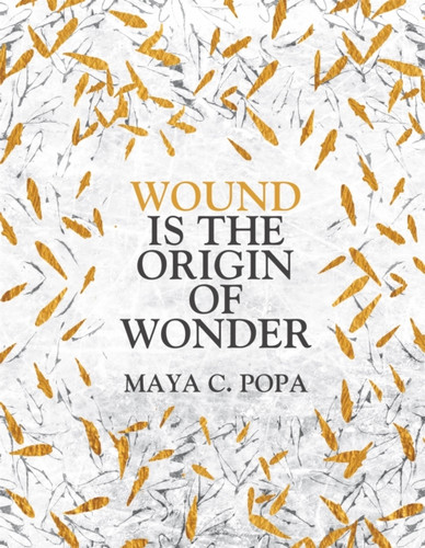 Wound is the Origin of Wonder 9781035017386 Paperback Wound is the Origin of Wonder 9781035017386 Paperback
