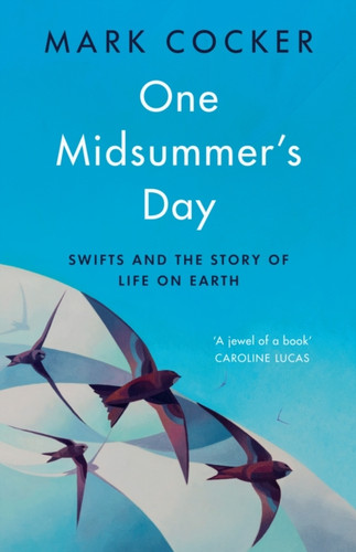 One Midsummer's Day 9781787332799