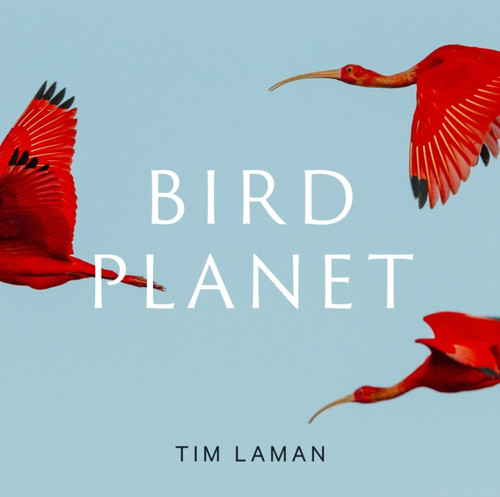 Bird Planet 9781419761492 Bird Planet 9781419761492