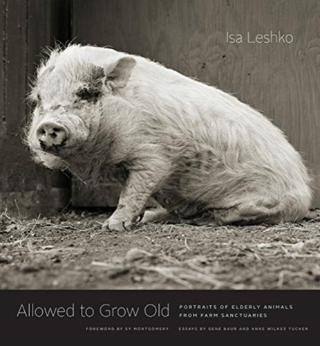 Allowed to Grow Old 9780226391373 Hardback