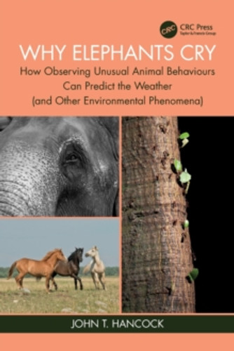 Why Elephants Cry 9781032381763 Paperback Why Elephants Cry 9781032381763 Paperback