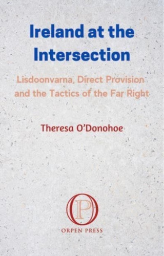 Ireland at the Crossroads 9781786051301 Paperback Ireland at the Crossroads 9781786051301 Paperback