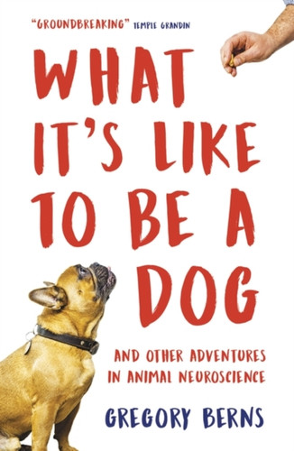 What It's Like to Be a Dog 9781786074898 Paperback What It's Like to Be a Dog 9781786074898 Paperback