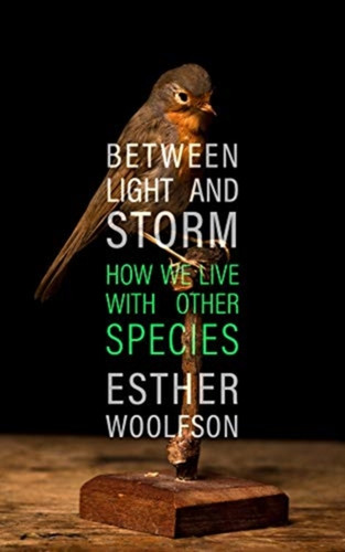 Between Light and Storm 9781783782796 Hardback