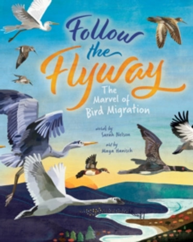 Follow the Flyway 9781646866335 Paperback Follow the Flyway 9781646866335 Paperback